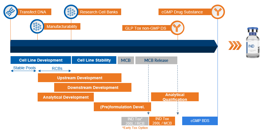 Mammalian CDMO Services