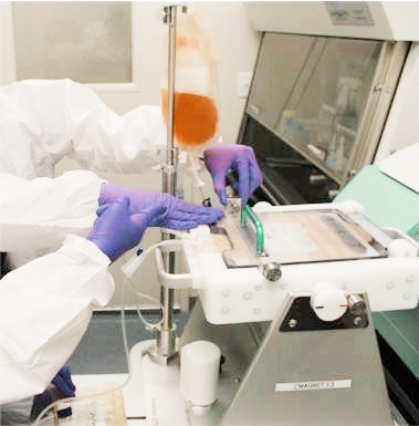 gmp Manufacturing celltherapy popup.jpg