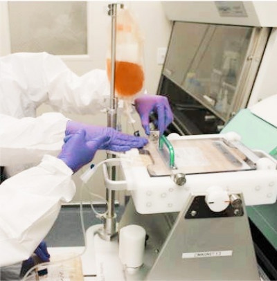 gmp Manufacturing celltherapy