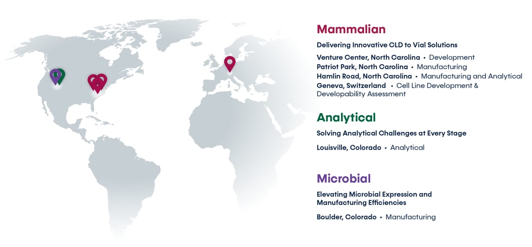 Website map image-1