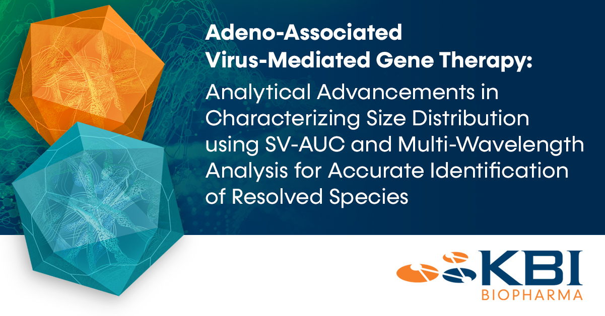 Adeno-Associated Virus-Mediated Gene Therapy: Analytical Advancements in Characterizing Size Distribution using SV-AUC and Multi-Wavelength Analysis for Accurate Identification of Resolved Species