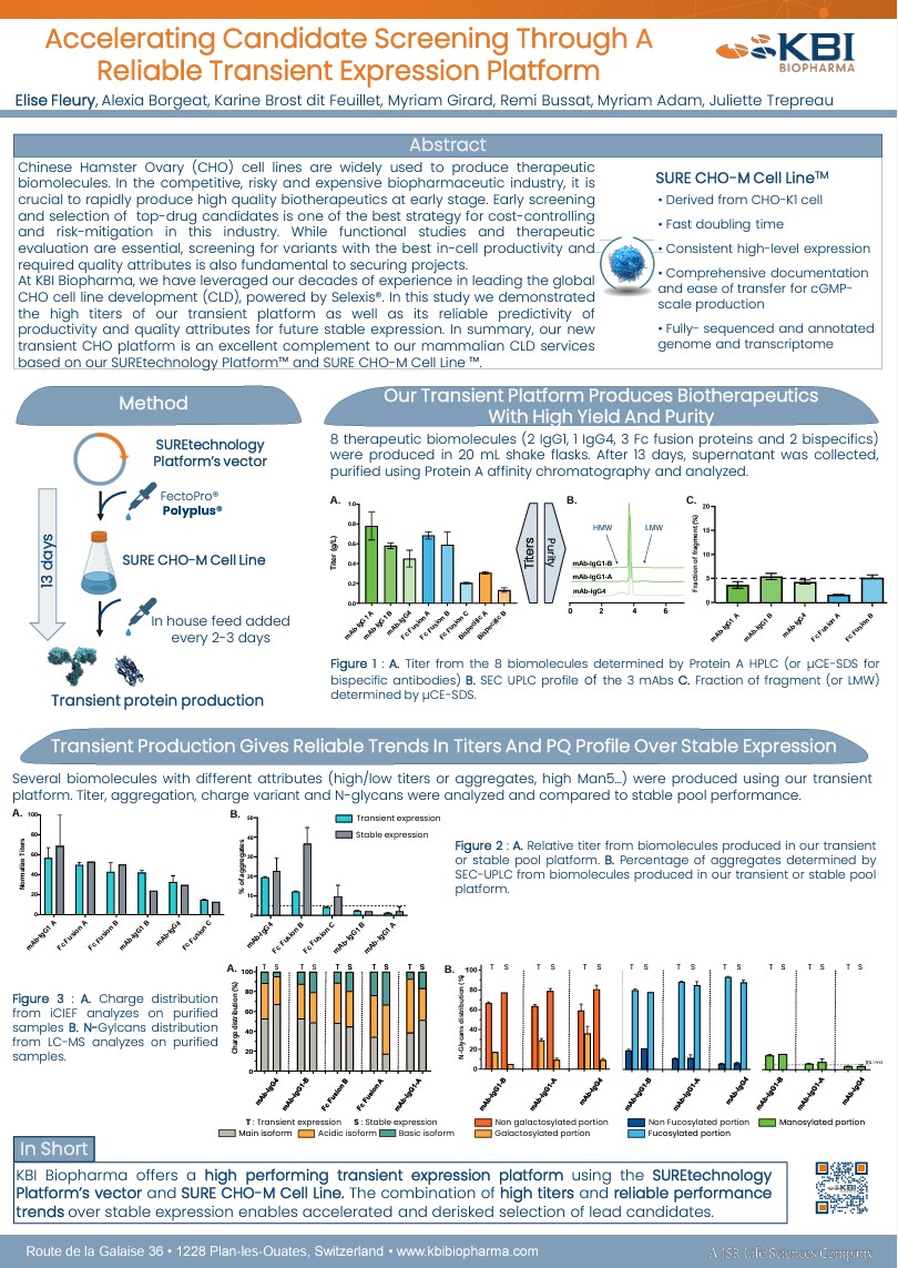 Poster 2024-Mamm CLD-Transient