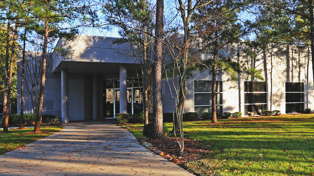 woodlands